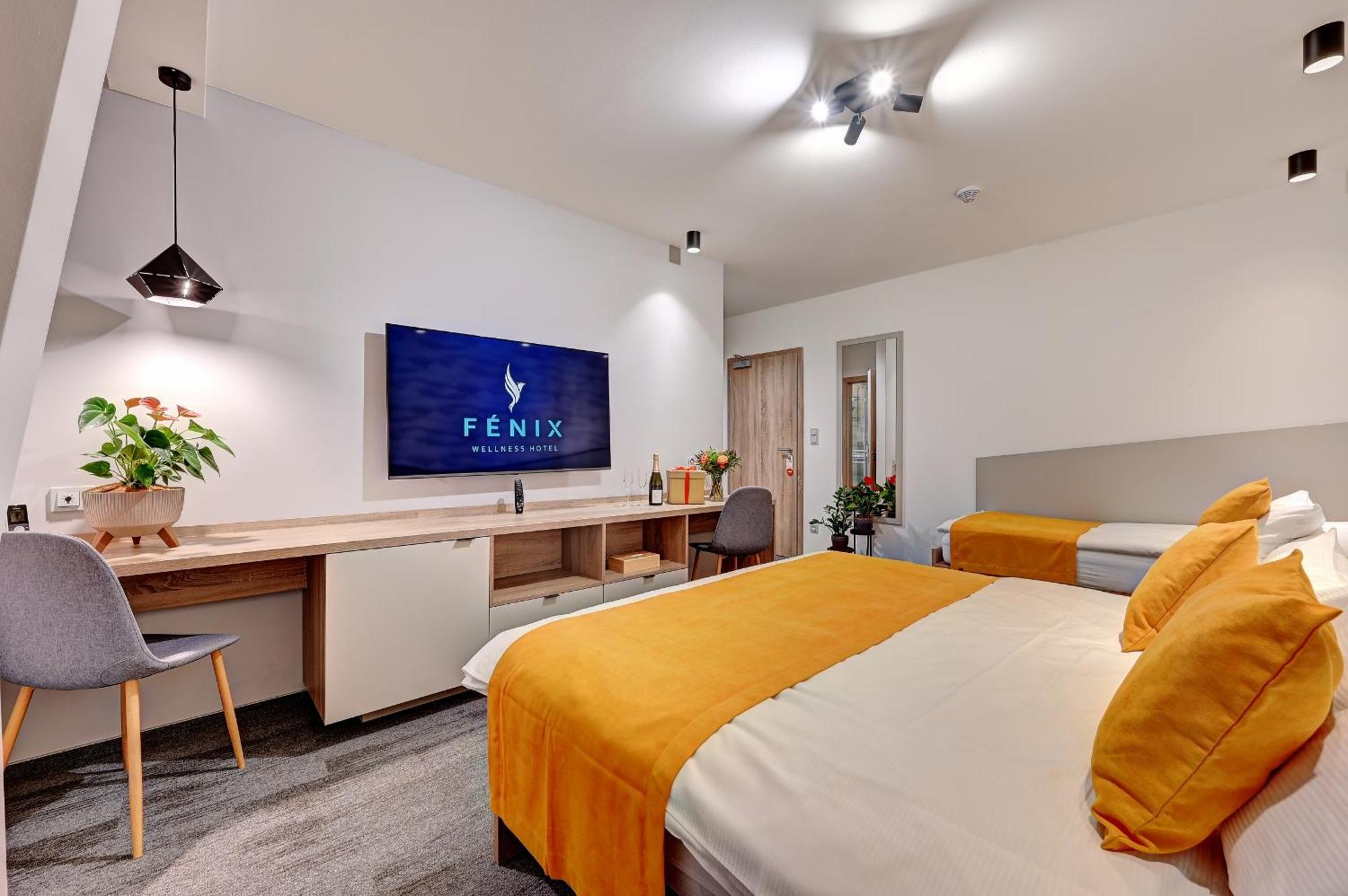 Wellness Fenix 4* Liberec